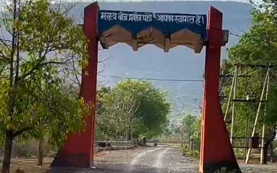 700 एकड़ में पैदा होती हैं 42 करोड़ मछलियां, एशिया का सबसे बड़ा फिश ब्रीडिंग सेंटर मध्य प्रदेश में