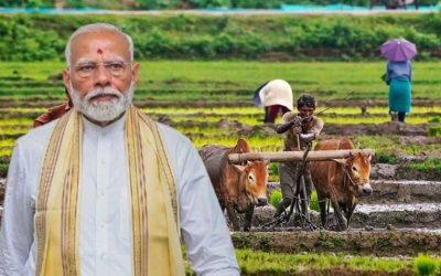 मोदी कैबिनेट का बड़ा फैसला: खरीफ फसलों के MSP में इजाफा, किसानों को बड़ी राहत