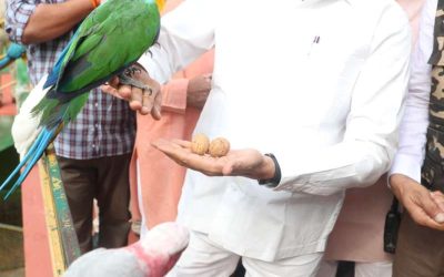 मुख्यमंत्री डॉ. यादव ने कमला नेहरू प्राणी संग्रहालय को दी नर किंग कोबरा की सौगात