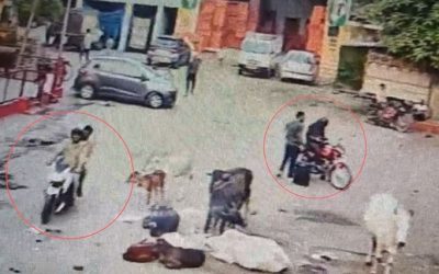 दीनू गैंग के सदस्य अधिवक्ता अनूप को चौकी प्रभारी ने दबिश से पहले भगाया, वीडियो में सामने आई सच्चाई