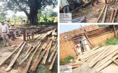 वन विभाग का बड़ा एक्शन: क़ीमती लकड़ी के अवैध कारोबार पर लगाम