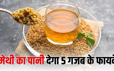 मेथी का पानी बनेगा नेचुरल मेडिसिन: रोज़ खाली पेट पीने से शुगर और मोटापे समेत कई स्वास्थ्य समस्याओं से मिलेगी राहत