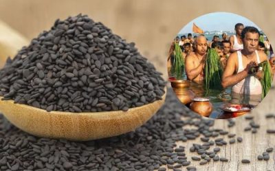 श्राद्ध अनुष्ठानों में क्यों किया जाता है काले तिल का प्रयोग?