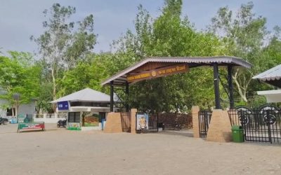 IRS अफसर ने पन्ना टाइगर रिजर्व में बनाया स्टे होम, लगाई आरा मशीन, जांच के आदेश