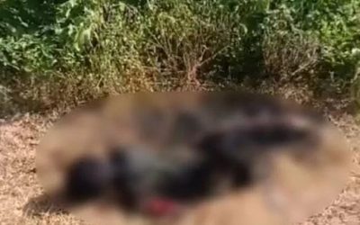 सड़क पर युवती का जला हुआ शव मिलने से शिवपुरी में हड़कंप, स्कूल जा रहे बच्चे भी डर के मारे सहम गए