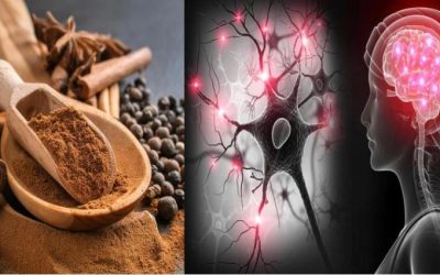FDA ने चेताया: मसाले में जहरीला लेड पाया गया, 11 ब्रांड्स का माल तुरंत हटाने को कहा, स्वास्थ्य और याददाश्त पर पड़ सकता है गंभीर असर