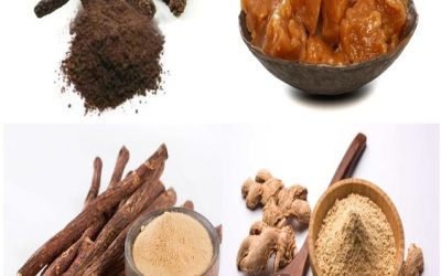 वैज्ञानिकों ने दी चेतावनी: इस सर्दी में मौसम होगा बेहद कड़क, पंसारी से लाएं ये 4 जरूरी चीजें, वरना ठंड से मुश्किलें बढ़ेंगी