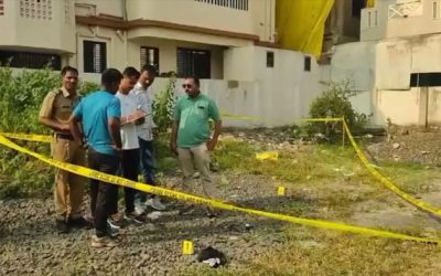 3 साल की मासूम बच्ची के चेहरे पर कुत्ते ने किया हमला, हुई मौत