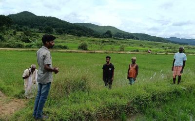 744 गांवों में डिजिटल फसल सर्वेक्षण कार्य पूर्ण