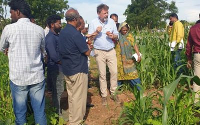 कूटनीति का नया टूल बना गाय का गोबर, जर्मन राजदूत ने भारत की पहल को सराहा, तस्वीरें कीं साझा