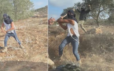 वेस्ट बैंक में बसे इजरायली नागरिकों ने फलस्तीनी किसानों को पीटा, जैतून की फसल को लेकर हुआ विवाद