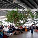 देशभर के इन 76 रेलवे स्टेशनों पर बनेगा यात्री होल्डिंग एरिया, 2026 के त्योहारों से पहले पूरा होगा जाएगा काम