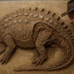 11 करोड़ साल पहले धरती पर रहता था ये जानवर, खुदाई के दौरान अचानक निकल आया