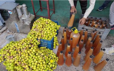 भोपाल में पर्यावरण संरक्षण का नया कदम, दुर्गा जी को चढ़ाए गए नीबू से तैयार होगा खास स्प्रे