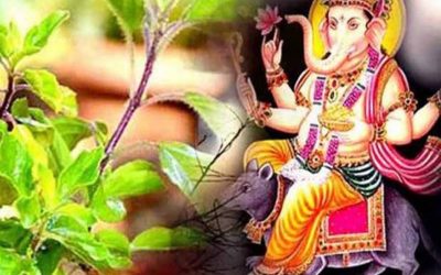 इसलिए भगवान गणेश को नहीं चढ़ती तुलसी
