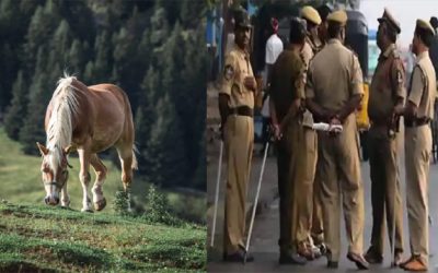 ‘घोड़े को इसलिए मार डाला, ताकि बेचा जा सके मांस’, फेसबुक की फेक पोस्ट पर पुलिस का एक्शन