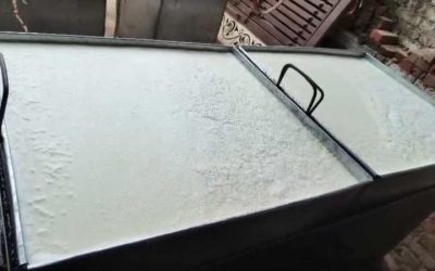 मुरैना में दिवाली से पहले मिलावटखोरी पर एक्शन, 600 किलो पनीर जब्त
