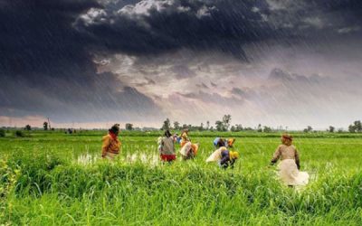 MP के किसानों के लिए बड़ी खबर, कल से शुरू होगा रजिस्ट्रेशन, खाते में आएगा पैसा