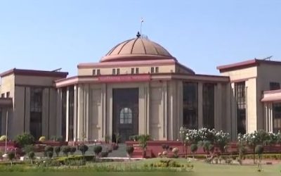 गायों की मौत का मामला पहुंचा हाईकोर्ट, प्रमुख सचिव को हलफनामा दाखिल करने के आदेश