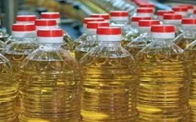 दिवाली से पहले मिलावट पर सख्ती, मुरादाबाद में 3766 लीटर नकली सरसों तेल जब्त