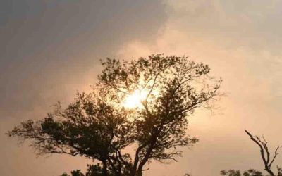 छत्तीसगढ़ में मानसून हुआ विदा, अब दिन में रहेगी चटक धूप